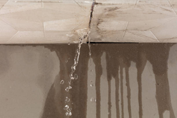Professional Water Damage Inspection technician working in Deanville, TX